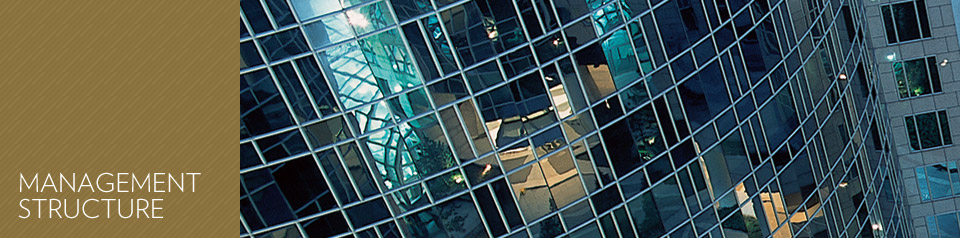 Management Structure